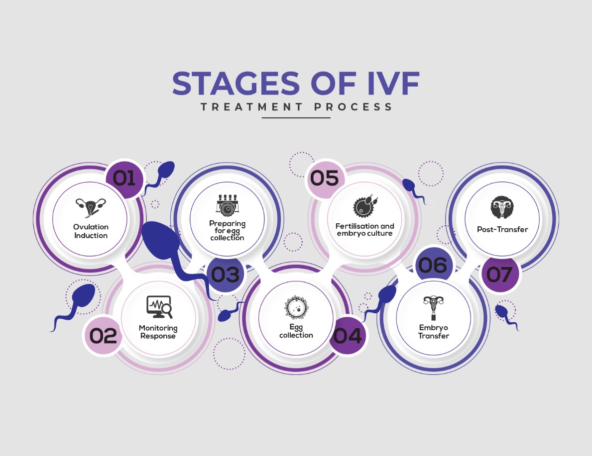Stages of IVF Treatment Process