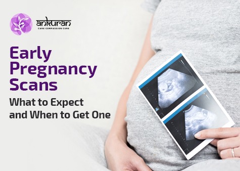 early pregnancy scan procedure and report
