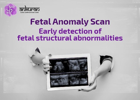 Detailed Fetal Anomaly Scan