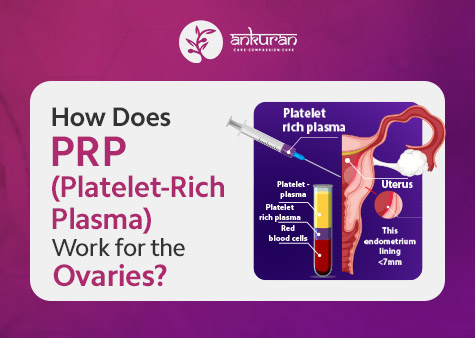 How Does PRP Work for the Ovaries