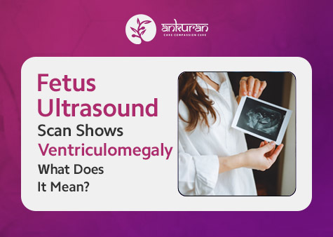 Fetus Ultrasound Scan Shows Ventriculomegaly — What Does It Mean?