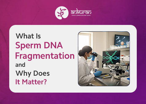 What I⁠s Sperm DNA Fragmentation and Why Do⁠es It Matter?